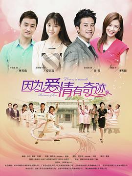 因为爱情有奇迹 DVD版